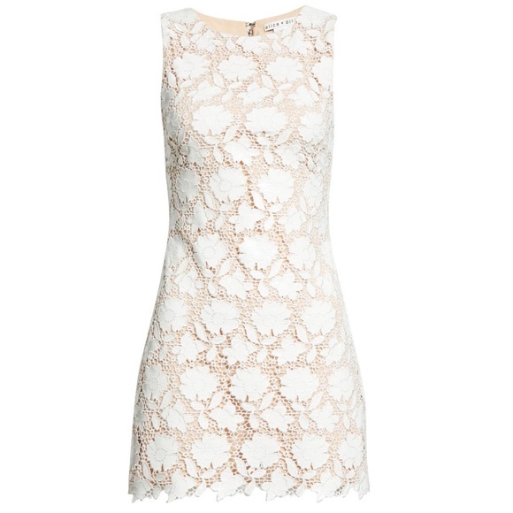 Alice + Olivia Clyde Crochet Floral Sheath Mini Dress - Picture 8 of 14